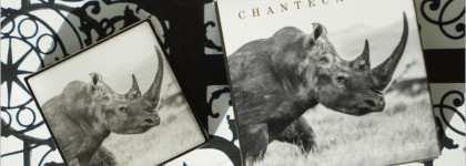 Chantecaille Luminescent Eye Shade #Rhinoceros