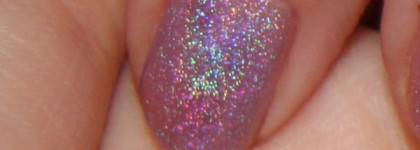 Dance Legend №6 - Лаванда, горная лаванда