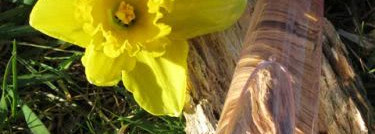 A Scent Soleil de Neroli и L`Eau d`Issey Florale Issey Miyake: весенние новинки