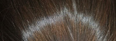 Шампунь восстанавливающий Brelil Numero