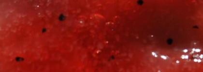 Kлубничный уход за кожей