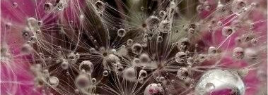 Молекула Великая-Escentric Molecules Escentric02