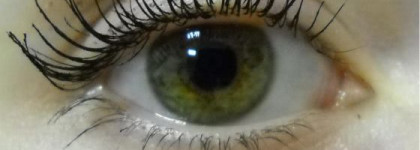 В поисках объема- ЭЛ Sumptuous