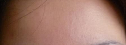 Матирующая компактная пудра Shiseido Pureness SPF 15