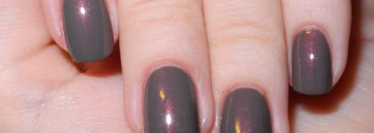 Пыльный красавчик Dance Legend 589