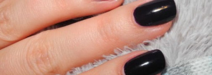 Два драматичных красавца от ANNY