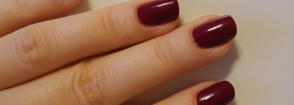 Хамелеончик от Irisk