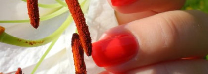 Красное желе от Dior