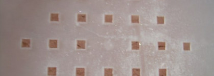 Феерия, феерия или Chanel Poudre Universelle Libre Natural Finish Loose Powder #47 feerie