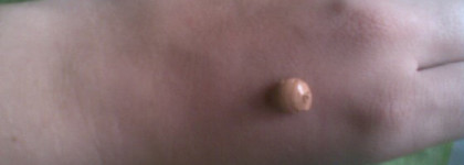 Hydramax+active teinte   активно увлажняющая эмульсия  - spf 15 (Сhanel)