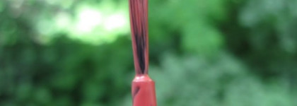 Танцуют все! Dance Legend #318