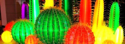 Неоновое лето с Orly Terracotta