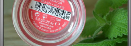 Essence Fruity Blush Sorbet 01 smoothie operator