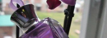 Мои любимые парфюмы