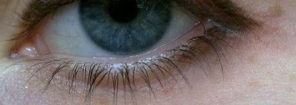 Мои карандаши цвета шоколада, золота и бронзы