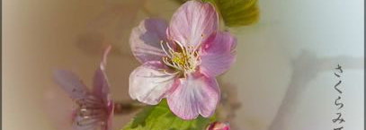 Японские мотивы