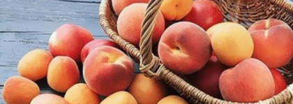 Сочные персики с Manhattan Double Loop lipliner+lipgloss 306