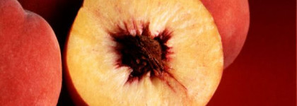 Сочные персики с Manhattan Double Loop lipliner+lipgloss 306