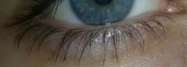 Dior Diorshow Iconic – Подкручивающая тушь для ресниц № 090 10 мл