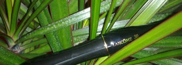 Три продукта в стиле нюд