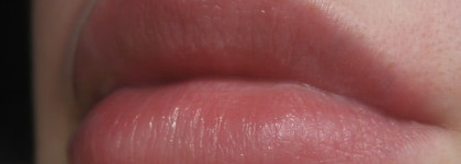 Shiseido The Skincare Protective Lip Conditioner SPF 10 – Защитный бальзам для губ