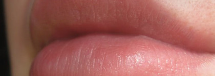 Shiseido The Skincare Protective Lip Conditioner SPF 10 – Защитный бальзам для губ