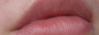 Shiseido The Skincare Protective Lip Conditioner SPF 10 – Защитный бальзам для губ