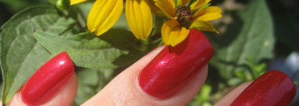 Chanel Le Vernis Nail Colour 587 Rouge Carat