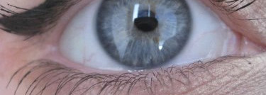 Clarins Mascara Wonder Volume — Объемная тушь для ресниц