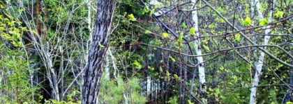 Как я открыла для себя мир Диор с la collection