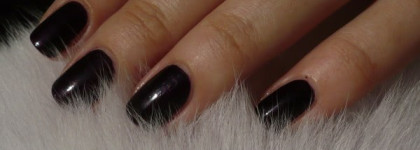 Есть в черненькой смородинке Немножко синевы… Bourjois 1 Seсonde Nail № 9 - OPI  NL H63 Vampsterdam