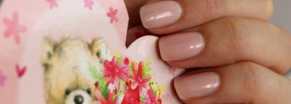 Opi. Краснеющие мужчины, торты, вампиробыки