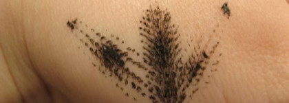 Накрасим глазки с помощью Max Factor (добавила фото с серым цветом)