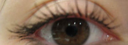 Накрасим глазки с помощью Max Factor (добавила фото с серым цветом)