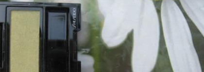 Shiseido Luminizing Satin Eye Color или у меня лето, заходите