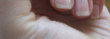 Два отличника от Chanel