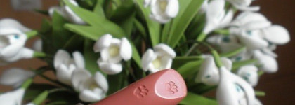 Осенние новинки (помады Paul & Joe, Chanel, Dior)