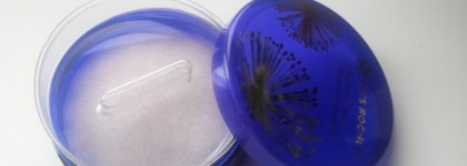 Yves Rocher Perles de teint Illuminating pearls Luminelle Collection 2012 (с фото при дневном свете)