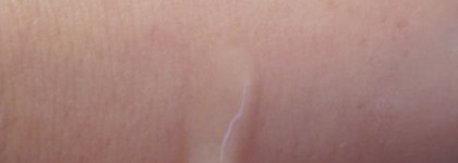 The Body Shop серия для комбинированной кожи Seaweed "Морские водоросли"