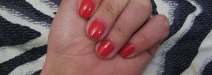 Мои любимые лаки Orly  (Часть 1)