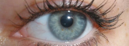 Сравнение несравнимого: Mary Kay Ultimate Mascara(№01), Givenchy Phenomen Eyes Mascara(black), Vivienne Sabo "Delices pour cils"(black)