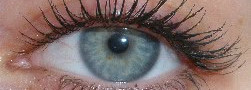 Сравнение несравнимого: Mary Kay Ultimate Mascara(№01), Givenchy Phenomen Eyes Mascara(black), Vivienne Sabo "Delices pour cils"(black)