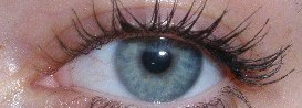 Сравнение несравнимого: Mary Kay Ultimate Mascara(№01), Givenchy Phenomen Eyes Mascara(black), Vivienne Sabo "Delices pour cils"(black)