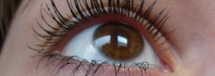 Estee Lauder тушь Magna Scopic мои впечатления