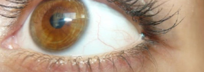 Estee Lauder тушь Magna Scopic мои впечатления