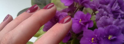 Мой маникюр сегодня: ORLY + Berkeley Square