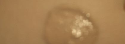 Мой любимчик Light Reflecting Foundation от BeYu :)