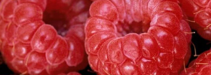 Вкус малины на губах (Guerlain Kiss Kiss Gloss №860)