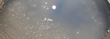 Наслаждение с Guam (Scrub energizzante forte - Talasso)