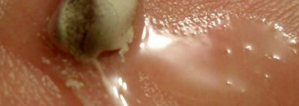 И еще немного о Guam (обзор двух масок для лица)